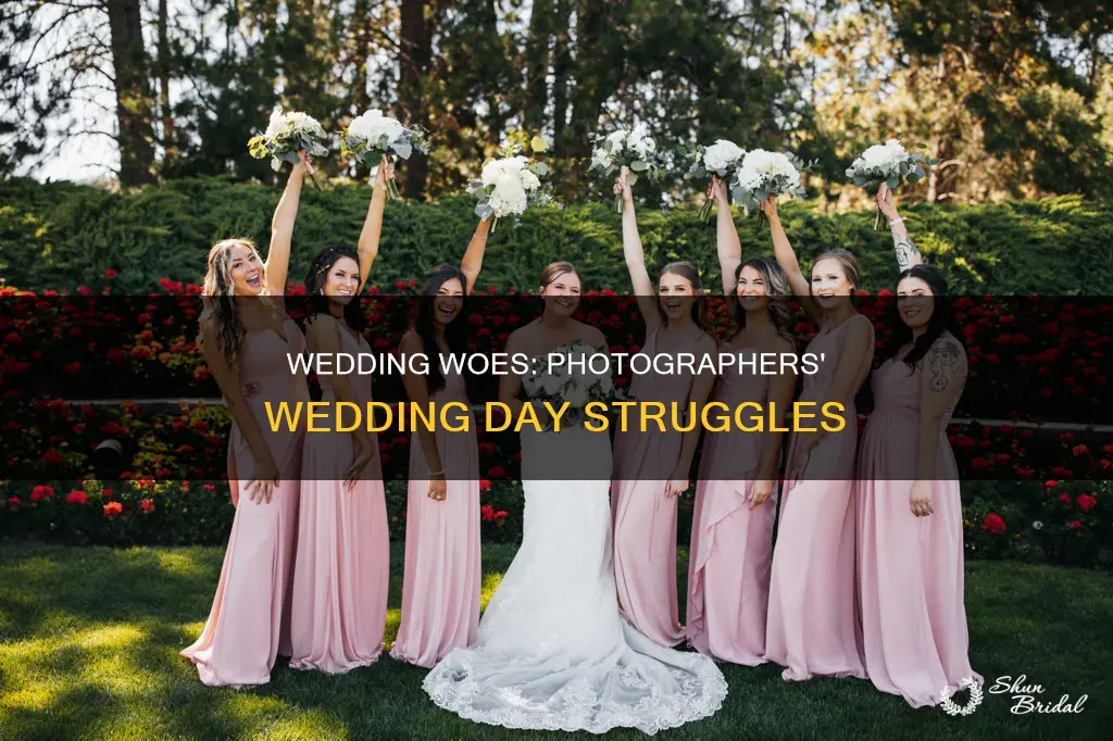 why photographers hate weddings