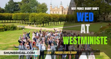 Harry's Wedding: Westminster Woes