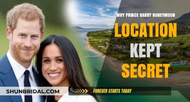 Unveiling the Mystery: Why Prince Harry's Honeymoon Location Stayed Secret