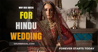 The Significance of Red Dresses in Hindu Weddings