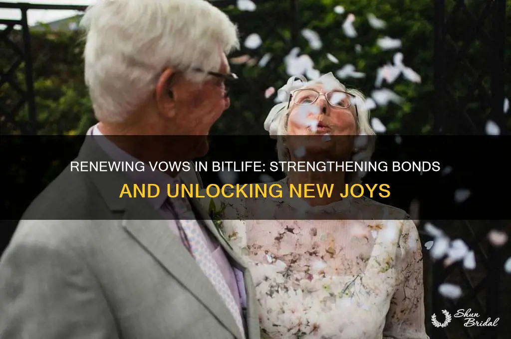 why renew vows in bitlife