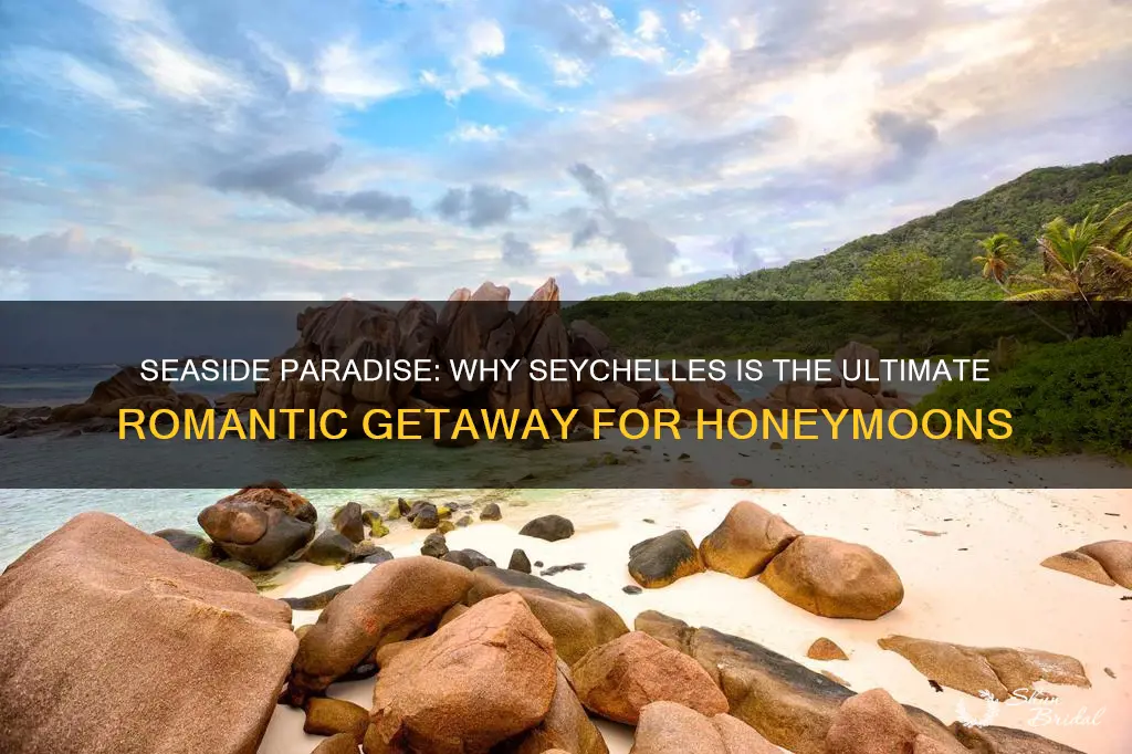 why seychelles for honeymoon