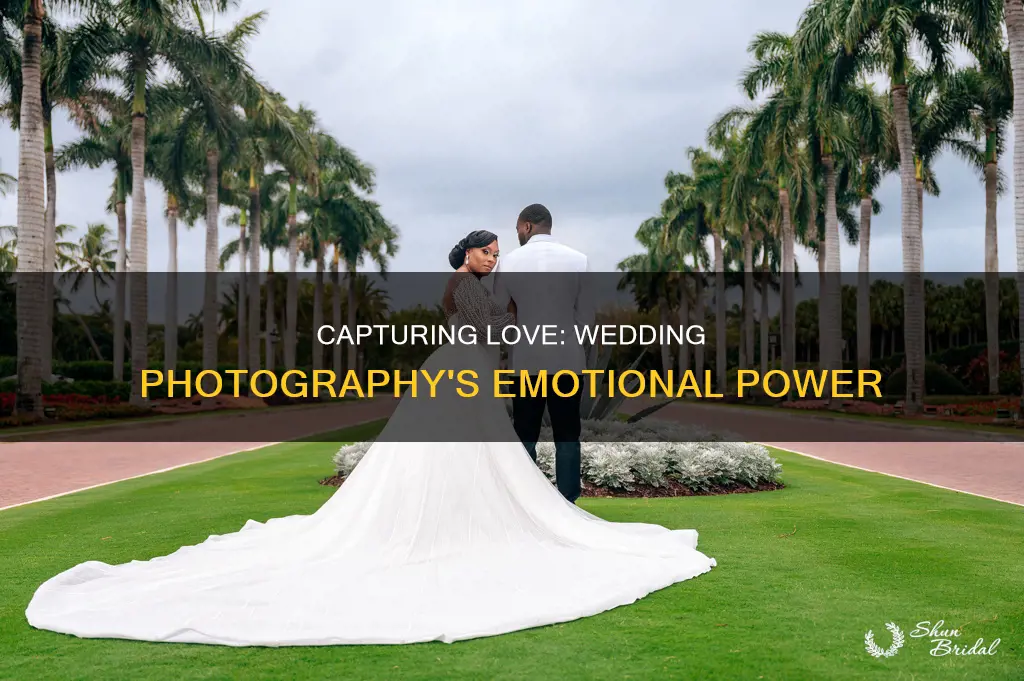 why shoot wedding photography