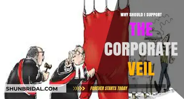 Protect Your Business: Why Supporting the Corporate Veil is Essential