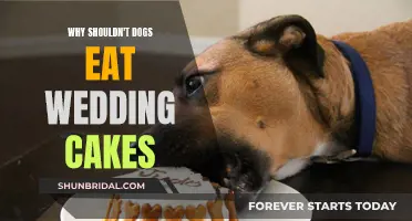 Dogs and Wedding Cakes: A Dangerous Combination