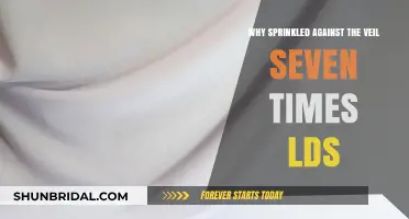 LDS Temple Ritual: Sprinkling the Veil Seven Times Explained