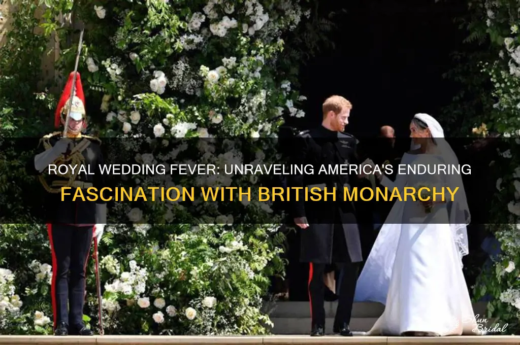 why sre americans so fascinated by the royal wedding