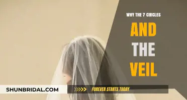 Unveiling the Mystery: The Symbolism of Seven Circles and the Veil