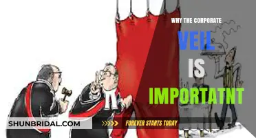 Why the Corporate Veil is Crucial for Business Protection and Success