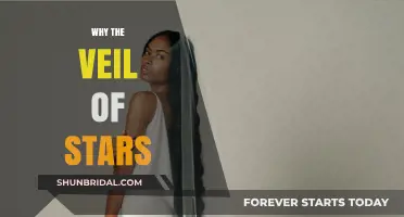Unveiling the Cosmic Mystery: Why the Veil of Stars Exists