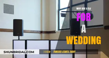 A DJ for Your Wedding: Music, Fun, and More!