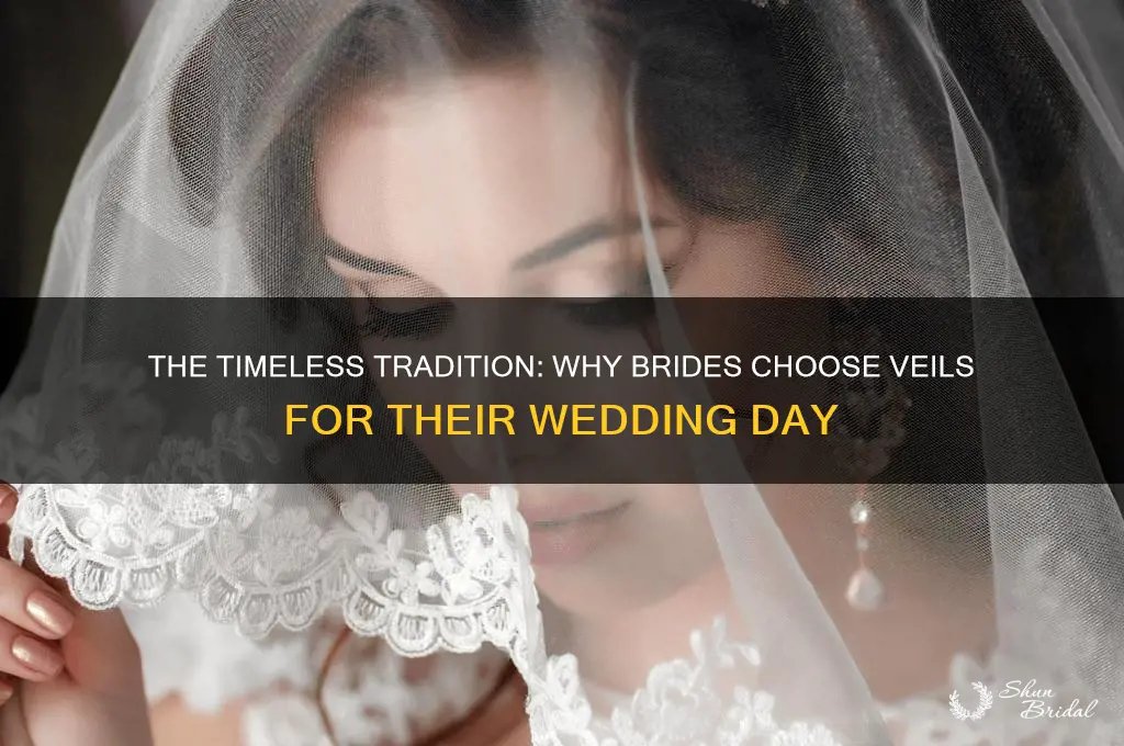 why use a veil in mariage