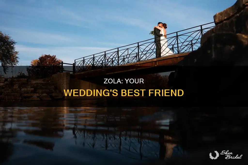 why use zola for wedding