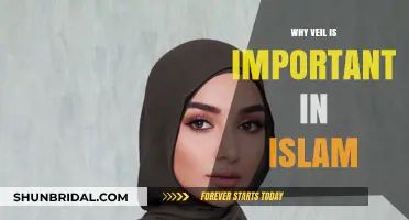 The Significance of the Veil in Islamic Faith and Culture