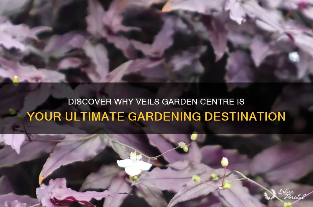 why veils garden centre