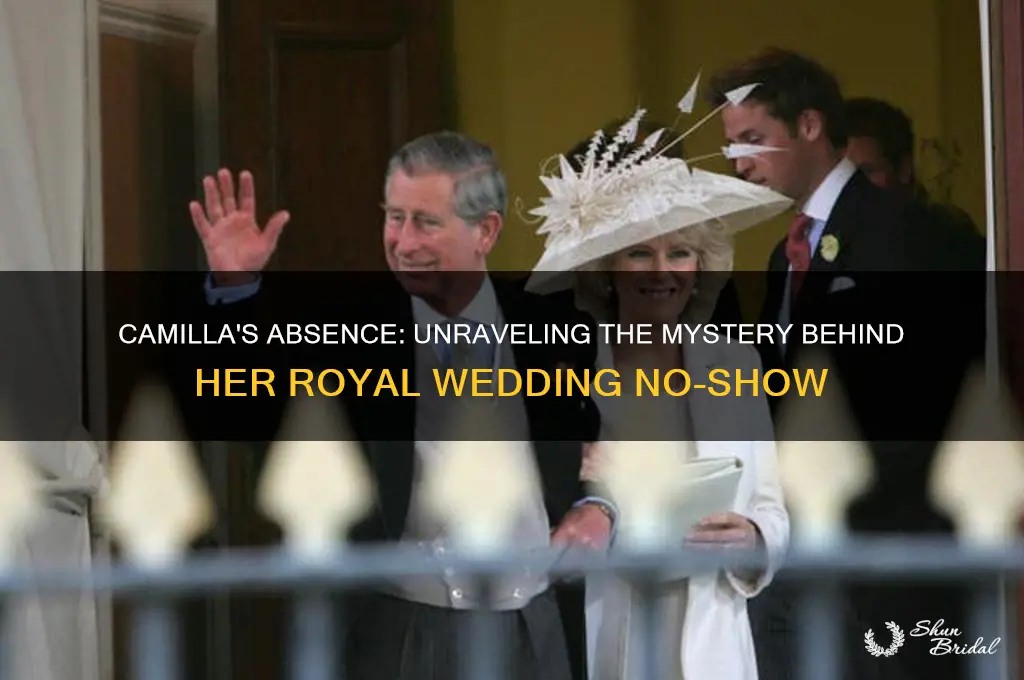 why was camilla not at the royal wedding