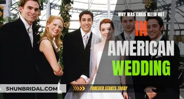 Chris Klein's Absence in American Wedding: What Happened?