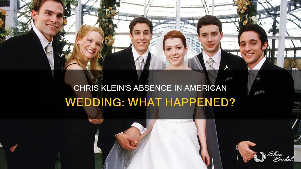 why was chris klein not in american wedding