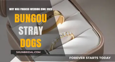 Francis' Wedding Ring: Symbolism in Bungou Stray Dogs