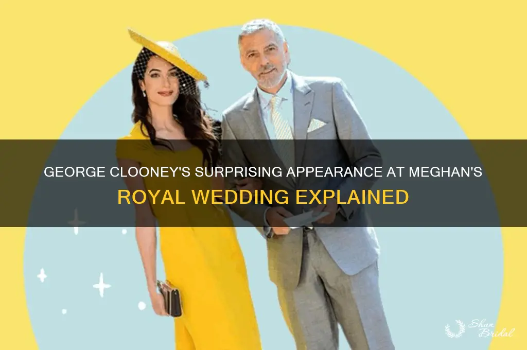 why was geogew clooney at megans royal wedding