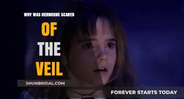 Hermione's Fear of the Veil: Unraveling the Mystery Behind Her Terror