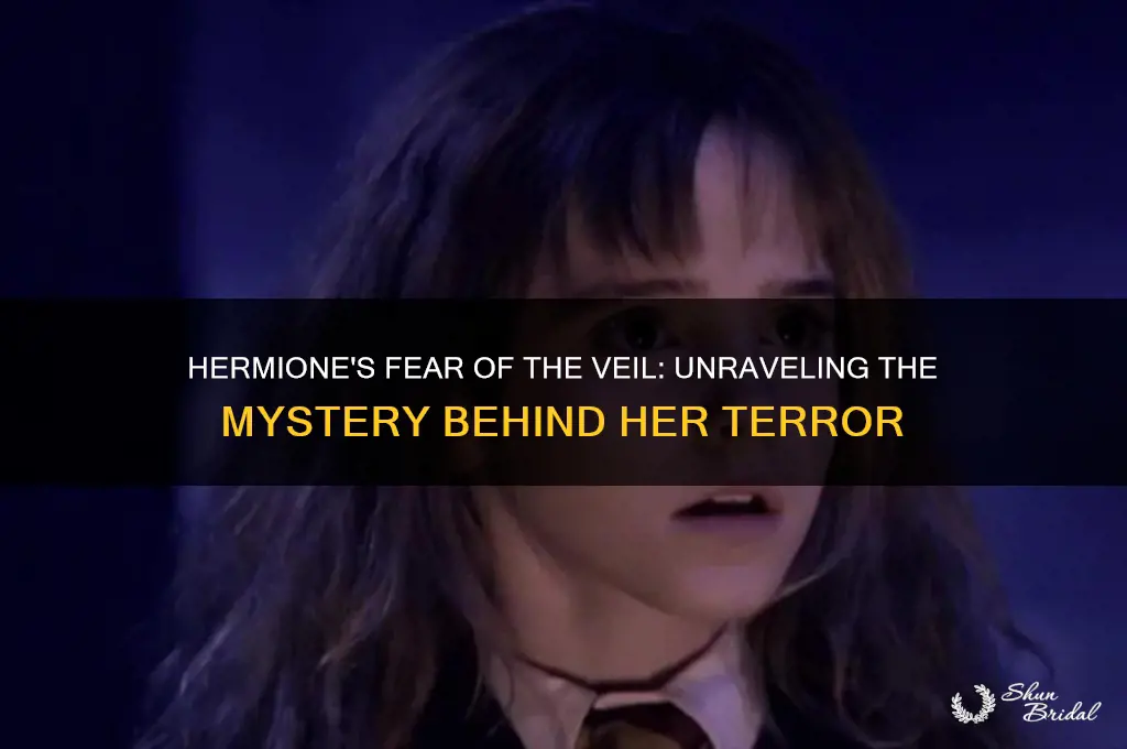 why was hermione scared of the veil