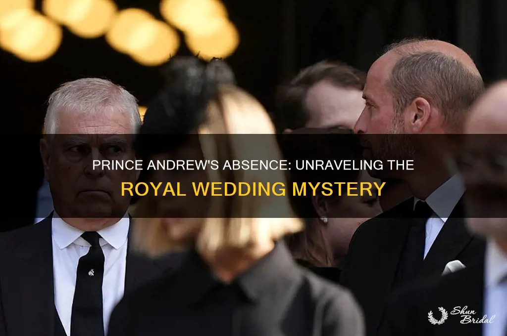 why was prince andrew not at royal wedding