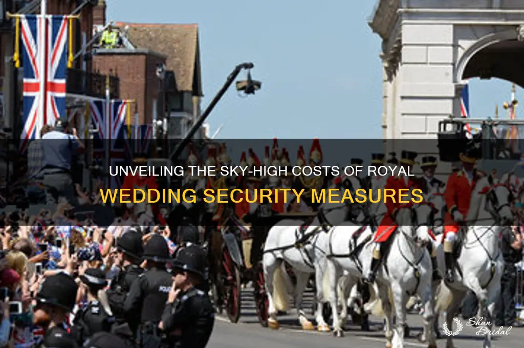 why was royal wedding security so expensive