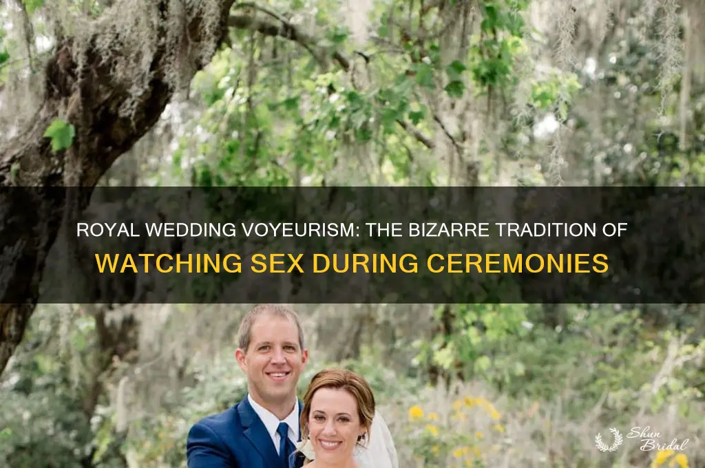 why was sex watched during royal wedding