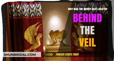 The Mercy Seat's Hidden Place: Unveiling Its Veil-Covered Purpose