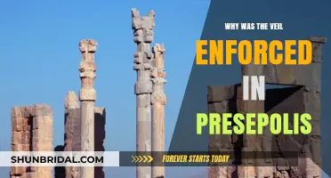 Persepolis Veil Enforcement: Unraveling the Historical and Cultural Significance