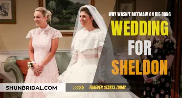 The Big Bang Theory: Meemaw's Missing Moment at Sheldon's Wedding