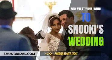 Snooki's Wedding: Vinnie's Absence Explained