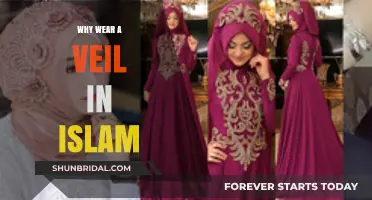 Understanding the Islamic Veil: Modesty, Faith, and Cultural Significance Explained