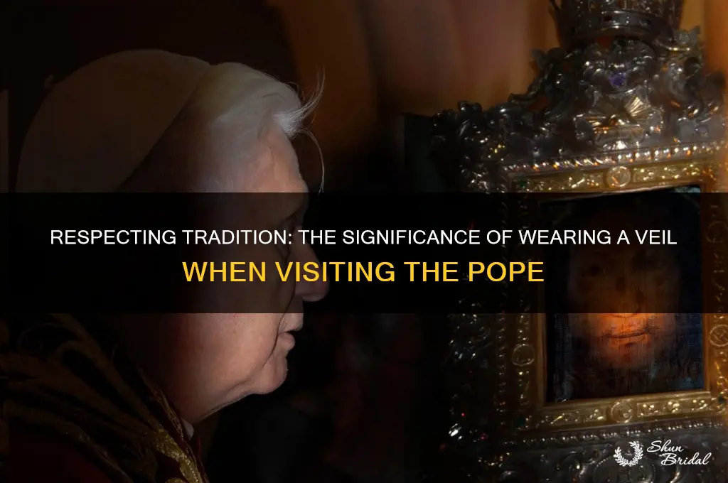 why wear a veil to visit pope