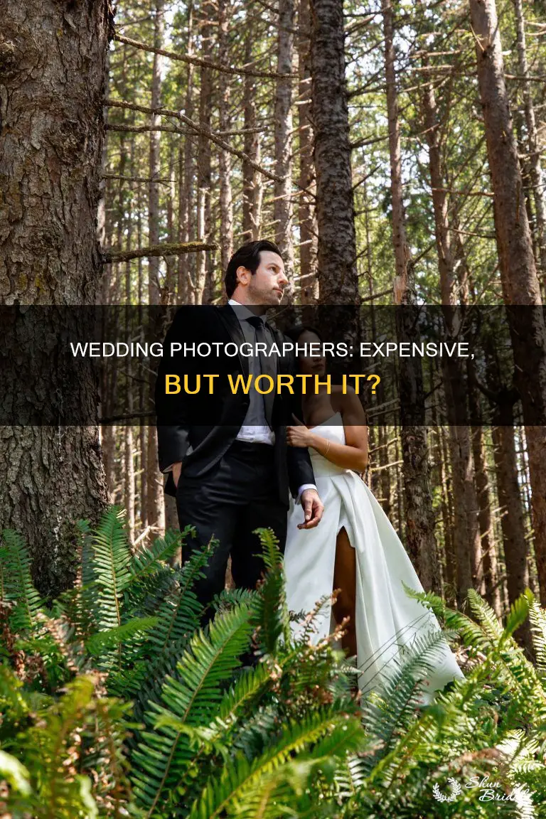 why wedding photographers prices are wack