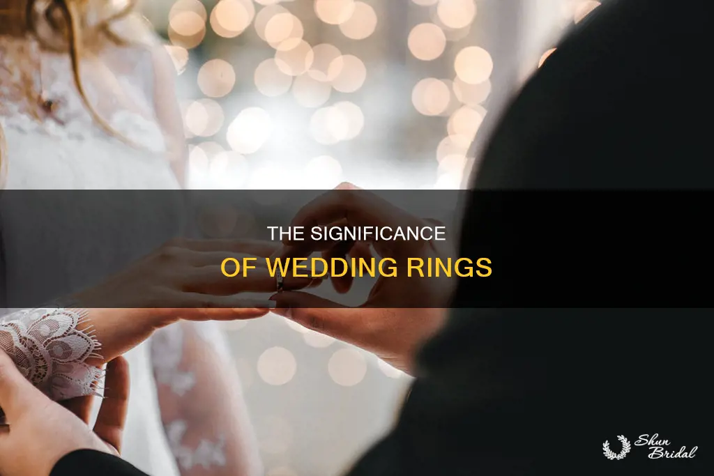 why wedding rings rings nice