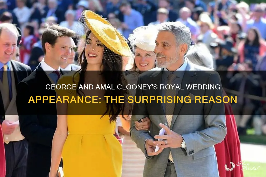 why were george and amal at the royal wedding
