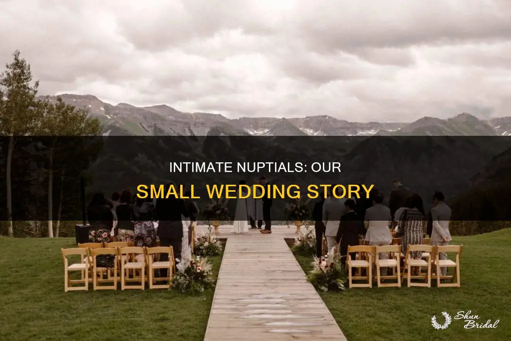 why will the wedding be a small affair