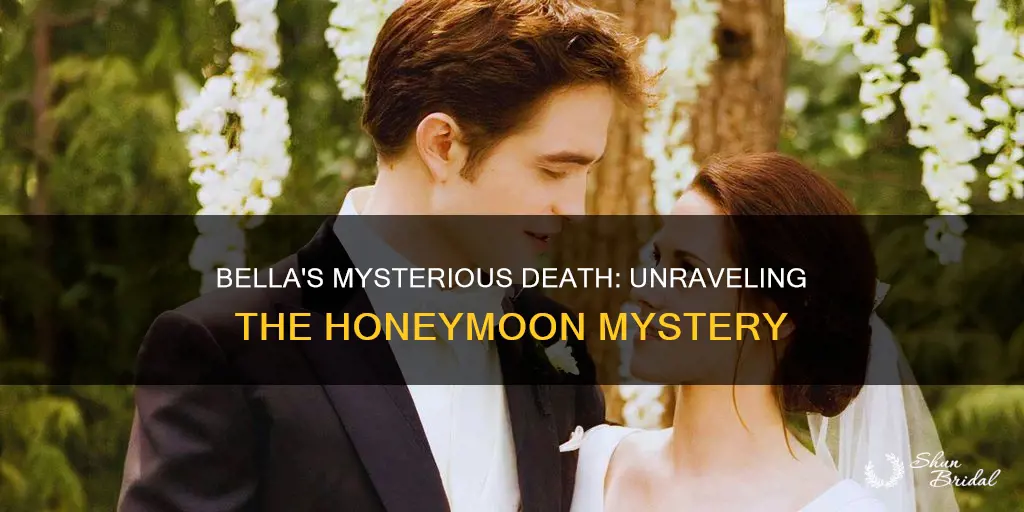 why would bella die on her honeymoon