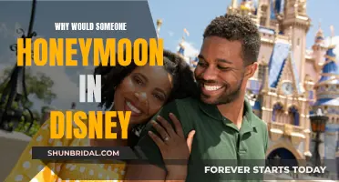 Romantic Getaway: Why Disney Is the Perfect Honeymoon Destination