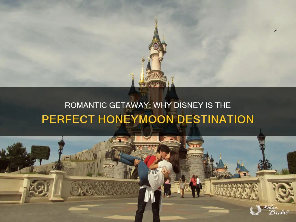 why would someone honeymoon in disney