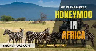 African Adventure: Uncover the Magic of a Honeymoon in Paradise