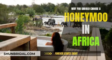 Honeymooning in Africa: An Unforgettable Adventure of a Lifetime
