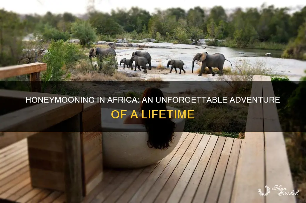 why you should choose a honeymoon in africa