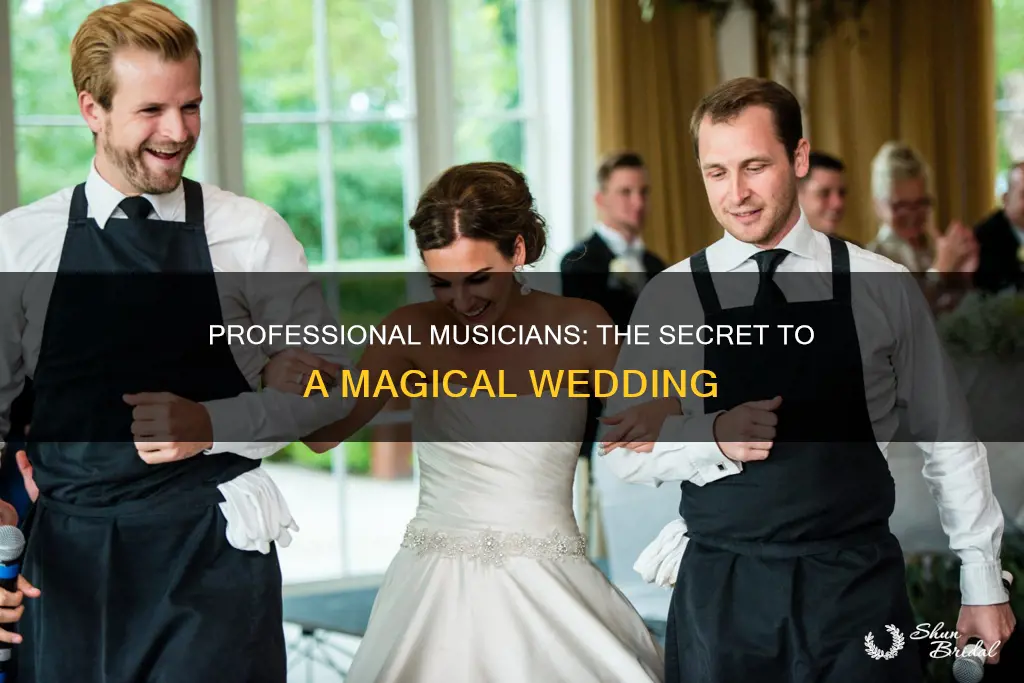 why you should use a professional musician for your wedding