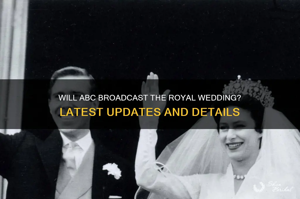 will abc carry royal wedding