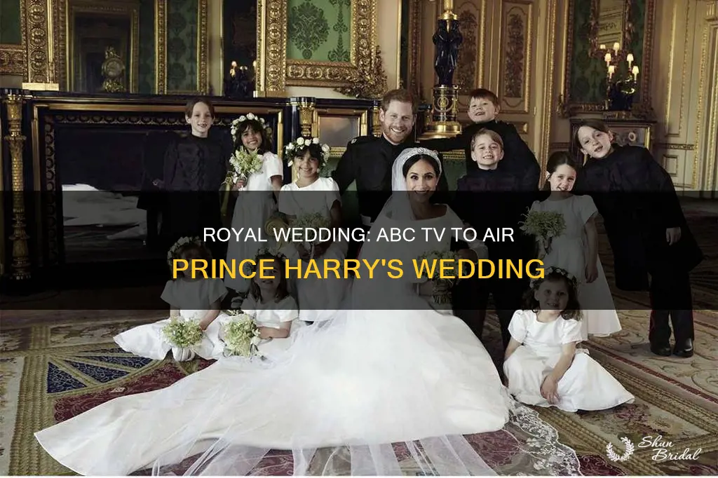 will abc tv channel show prince harry