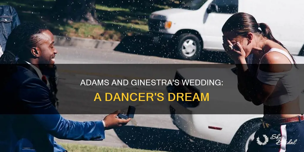 will adams and janelle ginestra wedding