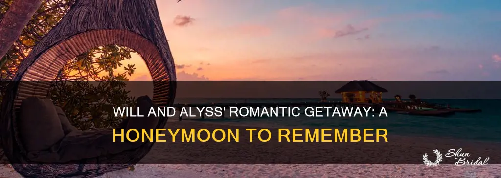 will and alyss honeymoon